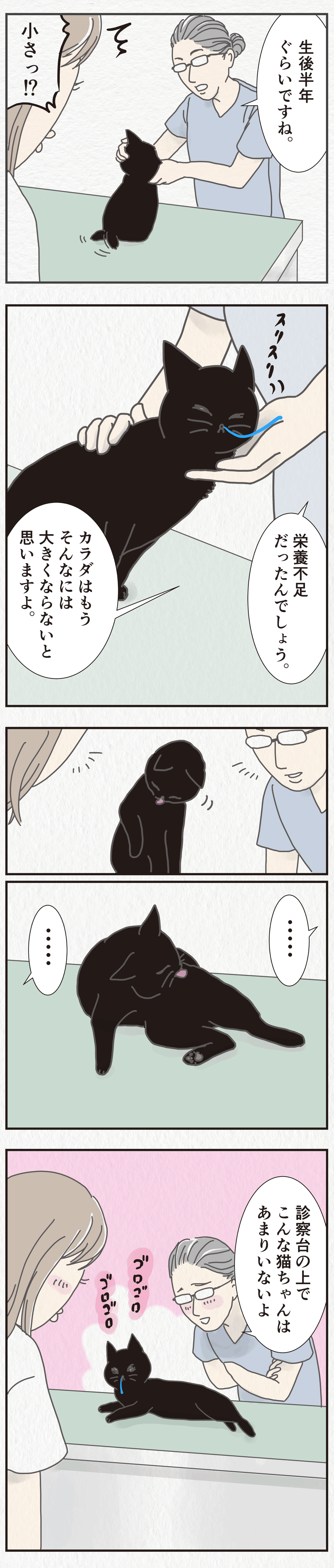 たろーはじめての診察台漫画